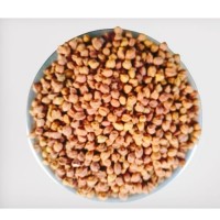 Black chana (24 carat) 5 kg bag
